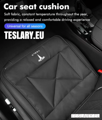Waarom Tesla Accessoires van Teslary.eu Jouw Rit Verbeteren
