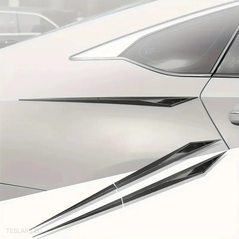 Chrome Plated Trim Accents for Side or Bonnet -TESLARY.IE Tesla Shop Europe