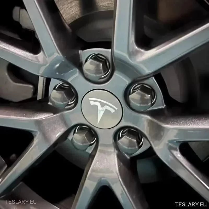 56mm Wheel Centre Caps with Logo for Tesla 3 , Y , S and X - TESLARY Tesla Shop Accessories Europe Nederlands Ireland Deutschland Espana Alicante France Italia