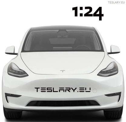 Tesla Model Y Model Car 1:24 Unofficial Version