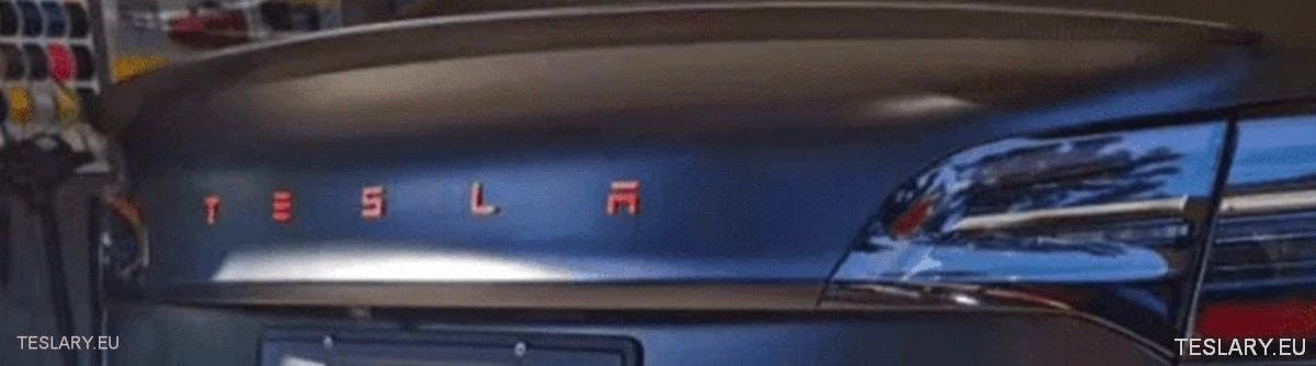 ABS 3D TESLA letter New Logo Style for your Tesla Model 3 Y S X - TESLARY Tesla Shop Accessories Europe Nederlands Ireland Deutschland Espana Alicante France Italia