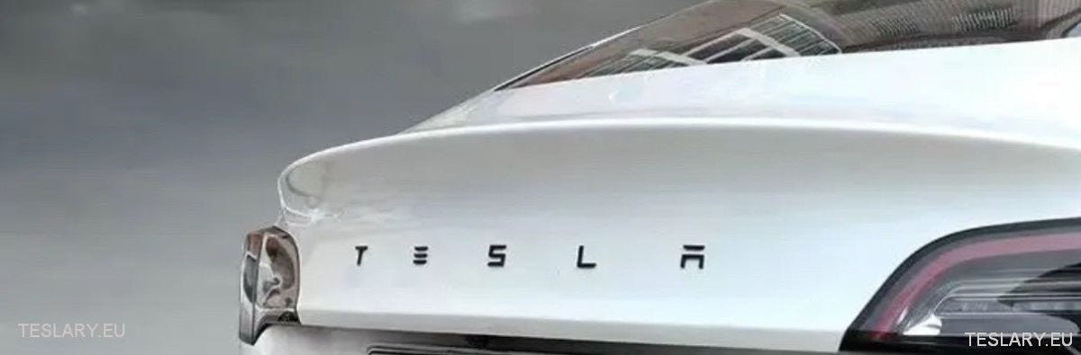 ABS 3D TESLA letter New Logo Style for your Tesla Model 3 Y S X - TESLARY Tesla Shop Accessories Europe Nederlands Ireland Deutschland Espana Alicante France Italia