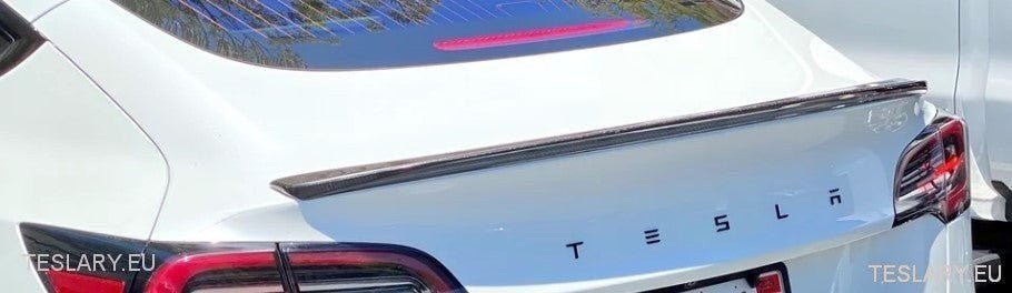 ABS 3D TESLA letter New Logo Style for your Tesla Model 3 Y S X - TESLARY Tesla Shop Accessories Europe Nederlands Ireland Deutschland Espana Alicante France Italia