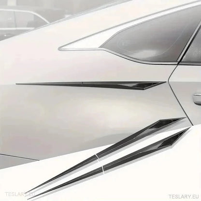 Chrome Plated Trim Accents for Side or Bonnet - TESLARY Tesla Shop Accessories Europe Nederlands Ireland Deutschland Espana Alicante France Italia