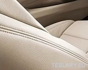 Leather Cleaner and Conditioner Cream for PU Leather Car Seats - TESLARY Tesla Shop Accessories Europe Nederlands Ireland Deutschland Espana Alicante France Italia