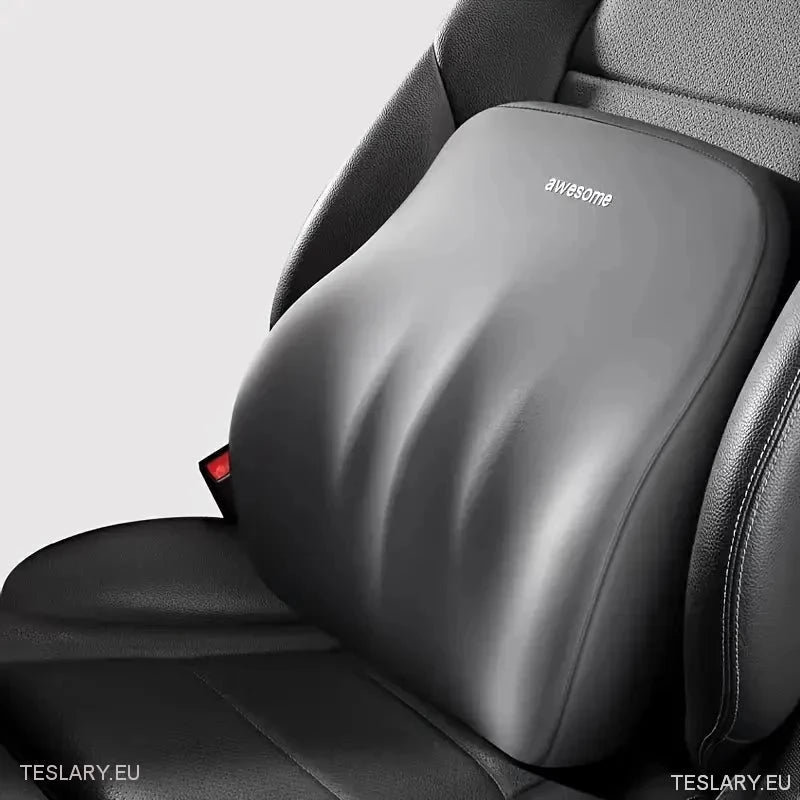 Memory Foam Neck Pillow & Back Support Cushion for All Tesla Models - TESLARY Tesla Shop Accessories Europe Nederlands Ireland Deutschland Espana Alicante France Italia