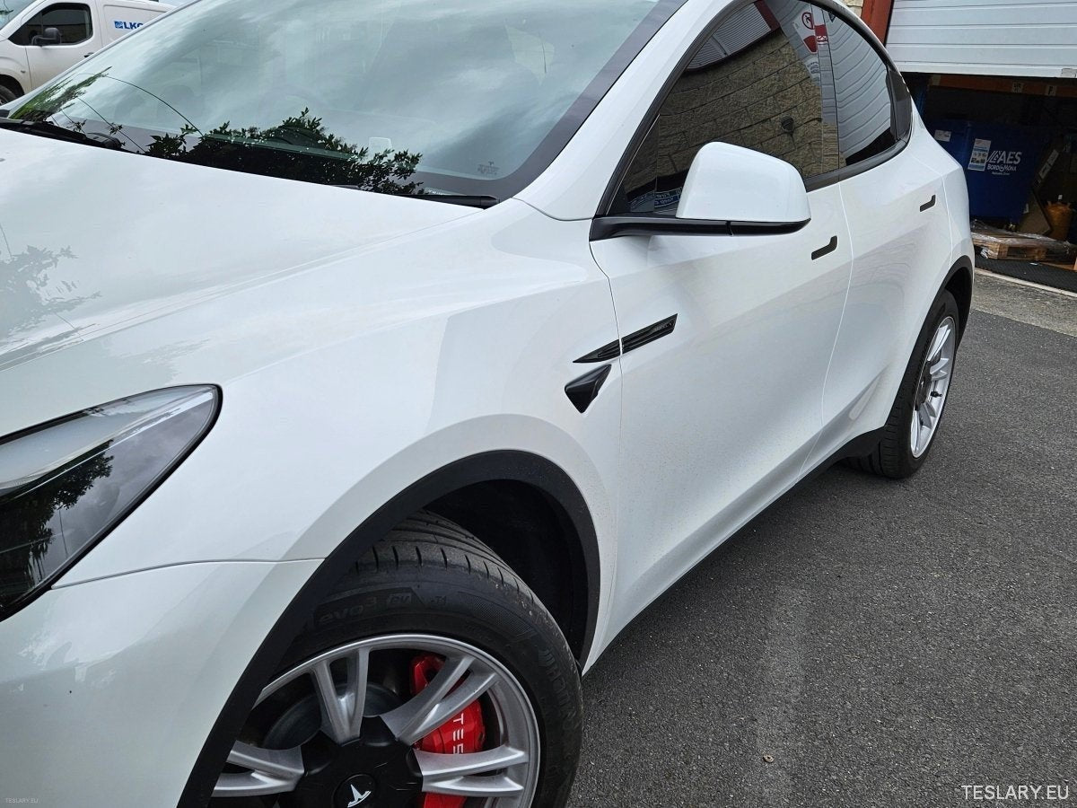 Premium Logo Decal Metal Door & Wing Stickers for Tesla 3 , Y & X - TESLARY Tesla Shop Accessories Europe Nederlands Ireland Deutschland Espana Alicante France Italia