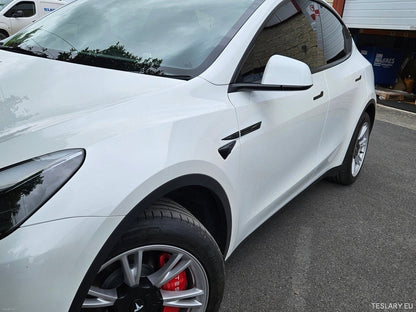 Premium Logo Decal Metal Door & Wing Stickers for Tesla 3 , Y & X - TESLARY Tesla Shop Accessories Europe Nederlands Ireland Deutschland Espana Alicante France Italia