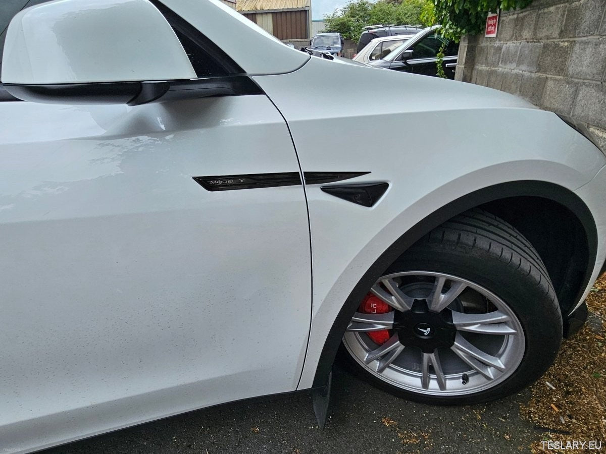 Premium Logo Decal Metal Door & Wing Stickers for Tesla 3 , Y & X - TESLARY Tesla Shop Accessories Europe Nederlands Ireland Deutschland Espana Alicante France Italia