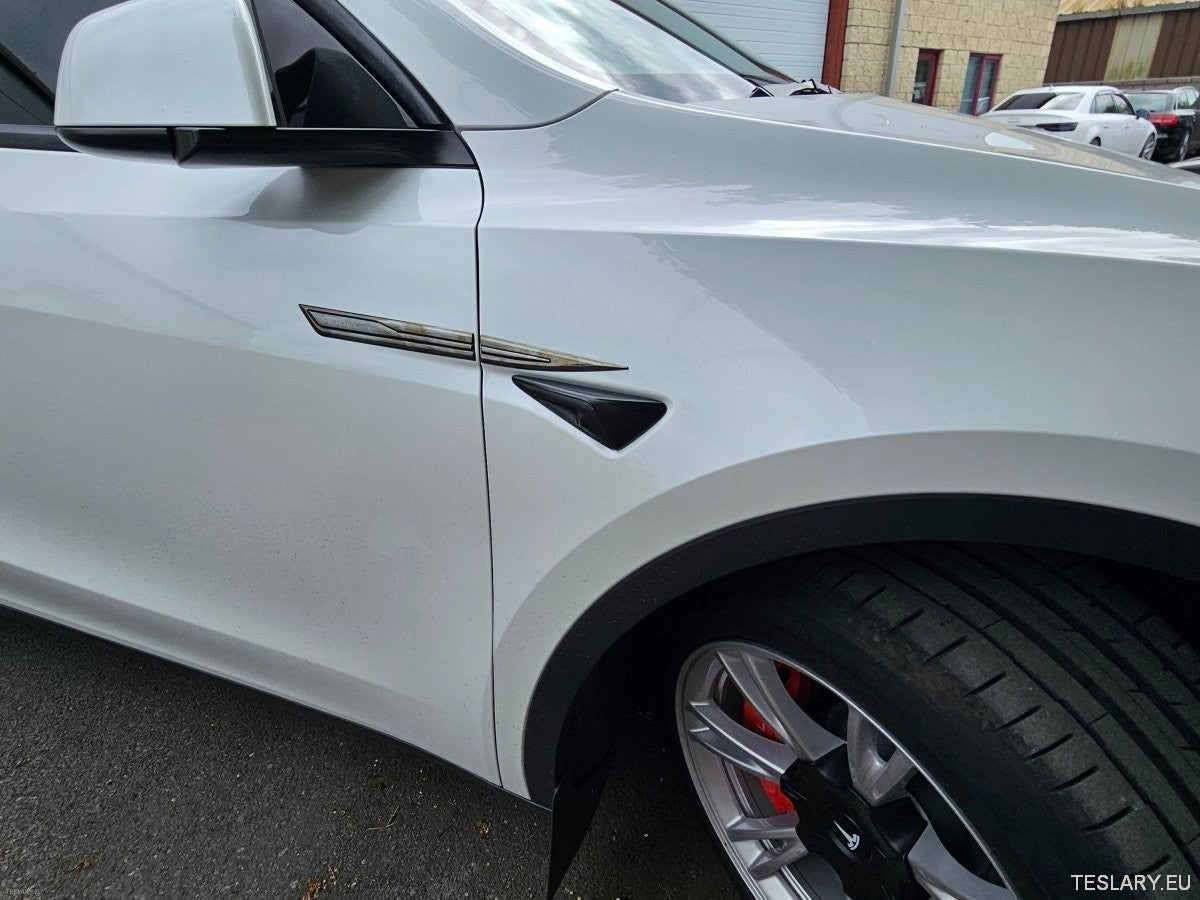 Premium Logo Decal Metal Door & Wing Stickers for Tesla 3 , Y & X - TESLARY Tesla Shop Accessories Europe Nederlands Ireland Deutschland Espana Alicante France Italia