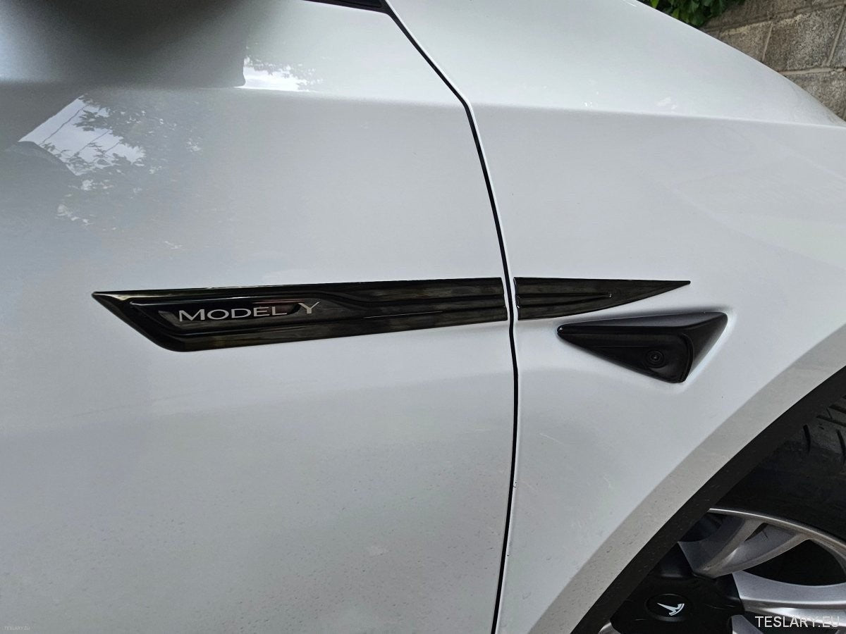 Premium Logo Decal Metal Door & Wing Stickers for Tesla 3 , Y & X - TESLARY Tesla Shop Accessories Europe Nederlands Ireland Deutschland Espana Alicante France Italia