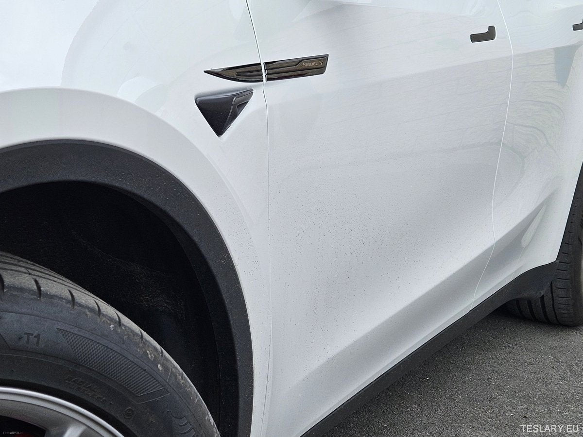 Premium Logo Decal Metal Door & Wing Stickers for Tesla 3 , Y & X - TESLARY Tesla Shop Accessories Europe Nederlands Ireland Deutschland Espana Alicante France Italia