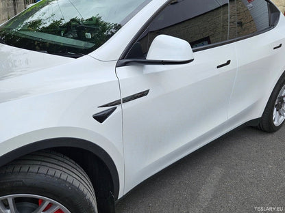 Premium Logo Decal Metal Door & Wing Stickers for Tesla 3 , Y & X - TESLARY Tesla Shop Accessories Europe Nederlands Ireland Deutschland Espana Alicante France Italia