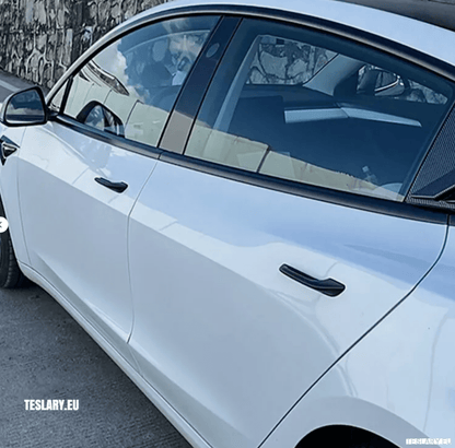Tesla Model 3 / Y Exterior Door Handles ( 4 PIECES ) - TESLARY Tesla Shop Accessories Europe Nederlands Dublin Cork Ireland Deutschland Espana Alicante France Italia