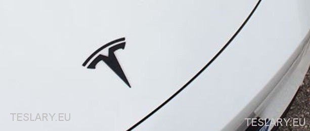 Tesla Model 3 / Y Front Logo Black , Carbon , Chrome , Red - TESLARY Tesla Shop Accessories Europe Nederlands Ireland Deutschland Espana Alicante France Italia