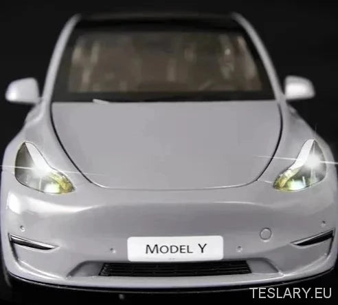 Tesla Y Model Car 1:24 Unofficial Version - Tesla Shop Europe - TESLARY.IE Ireland - France boutique- Deutschland Geschäft- España comercio - Nederland winkel- TESLARY.IE
