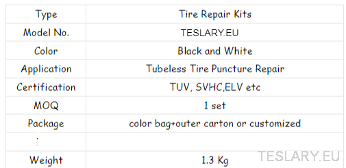 Tyre Puncture Repair Kit with Compressor and Storage Bag - TESLARY Tesla Shop Accessories Europe Nederlands Dublin Cork Ireland Deutschland Espana Alicante France Italia